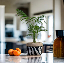 Load image into Gallery viewer, Zebra Print Velvet &amp; Hessian Pot

