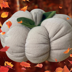 Soft Knit Wool Cream Pumpkin