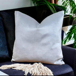 Silver Velvet Cushion