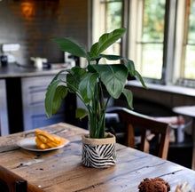 Load image into Gallery viewer, Linen Mix Zebra &amp; Hessian Pot
