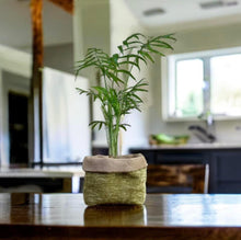 Load image into Gallery viewer, Moss Velvet Chenille &amp; Hessian Pot
