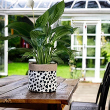Load image into Gallery viewer, Dalmation Print Velvet &amp; Hessian Pot
