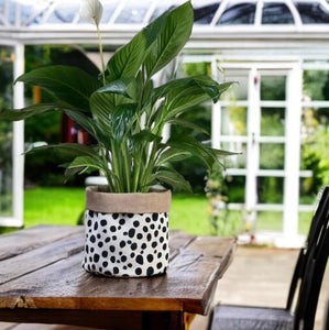 Dalmation Print Velvet & Hessian Pot