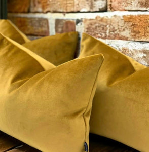 Mustard Velvet Cushion