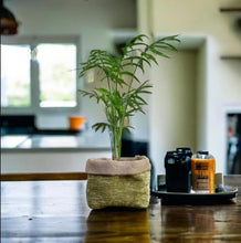 Load image into Gallery viewer, Moss Velvet Chenille &amp; Hessian Pot
