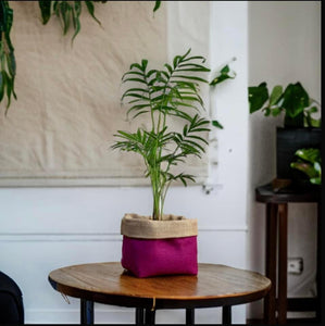 Cerise Italian Milled Wool & Hessian Pot