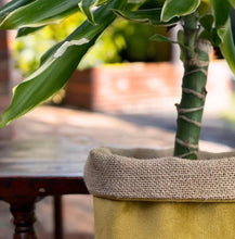 Load image into Gallery viewer, Mustard Velvet &amp; Hessian Pot
