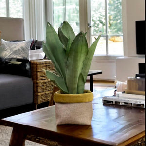 Mustard Velvet & Hessian Pot