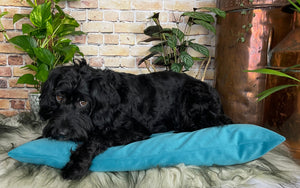 Velvet Dog Bed Mustard