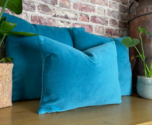 Load image into Gallery viewer, Jade Velvet Cushion
