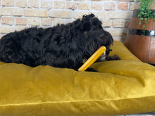 Load image into Gallery viewer, Velvet Dog Bed Marine Blue
