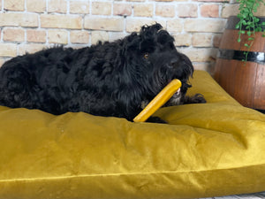 Velvet Dog Bed Marine Blue