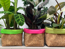Load image into Gallery viewer, Gold Flaked Cork Pot
