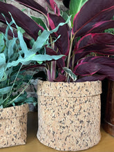 Load image into Gallery viewer, Large Round Black Speckled Cork Pot
