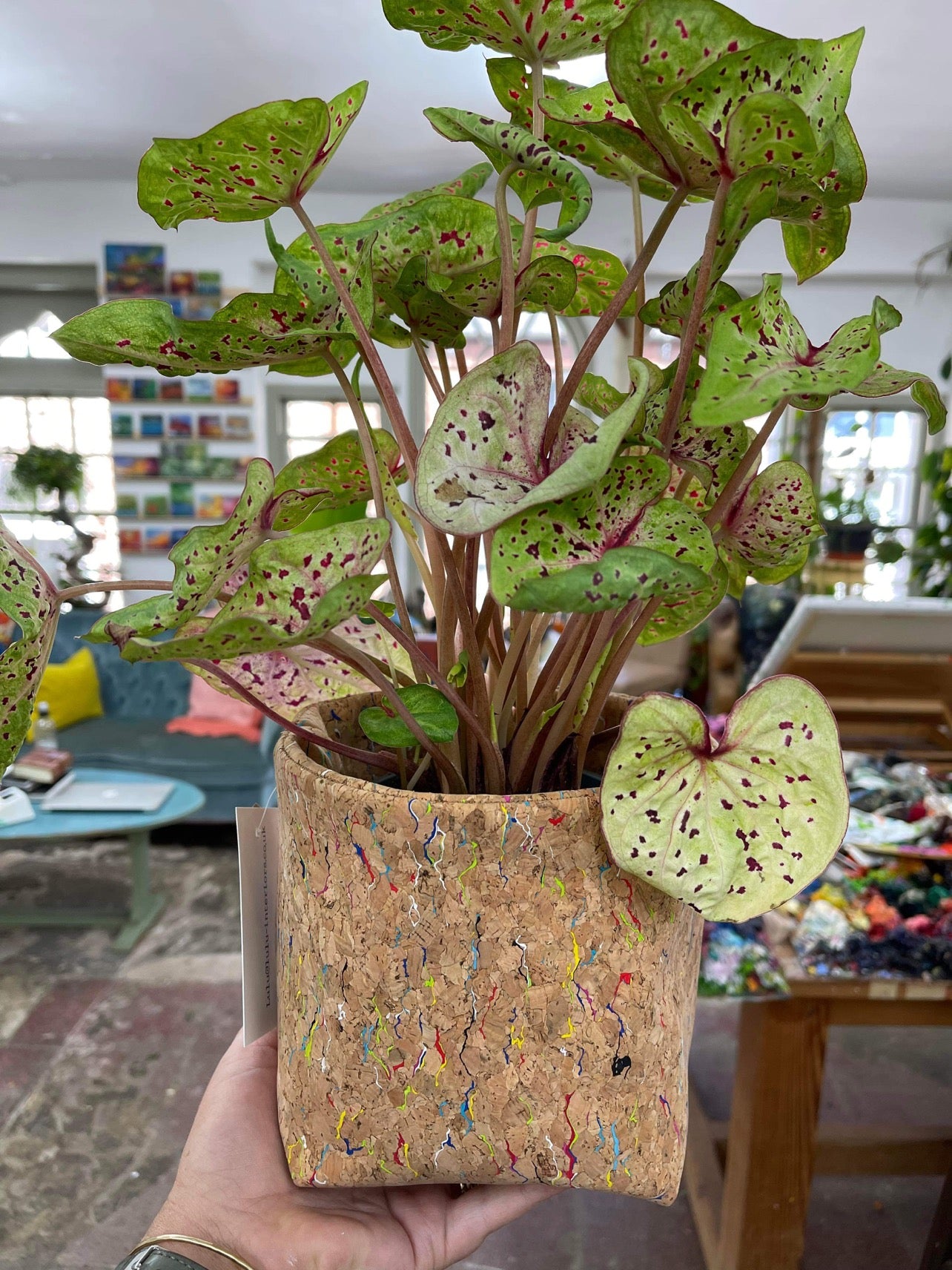 funky plant pots uk Funky Multi Colour Cork Pot – Lulu Interiors