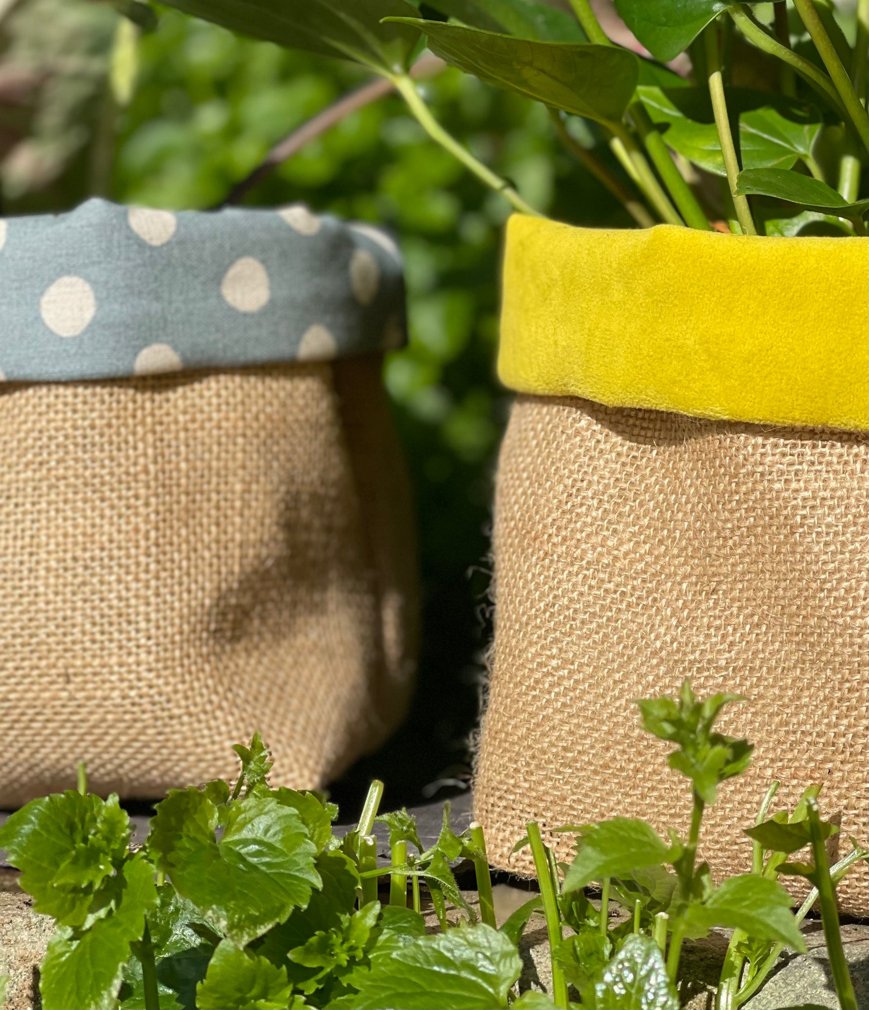 hessian plant pots Hessian Fabric Plant Pot – Lulu Interiors