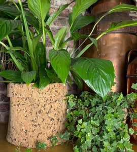 Large Round Black Speckled Cork Pot