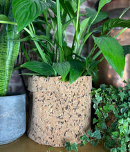 Load image into Gallery viewer, Large Round Black Speckled Cork Pot

