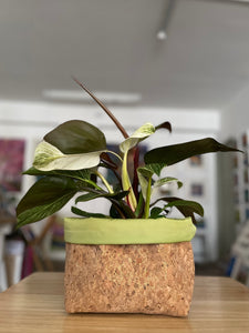 Gold Flaked Cork Pot