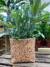 Load image into Gallery viewer, Silver Flaked Cork Pot
