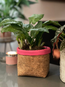 Gold Flaked Cork Pot