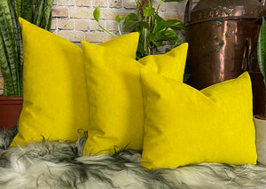 Canary yellow cushions sale