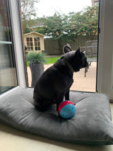 Load image into Gallery viewer, Velvet Dog Bed Marine Blue
