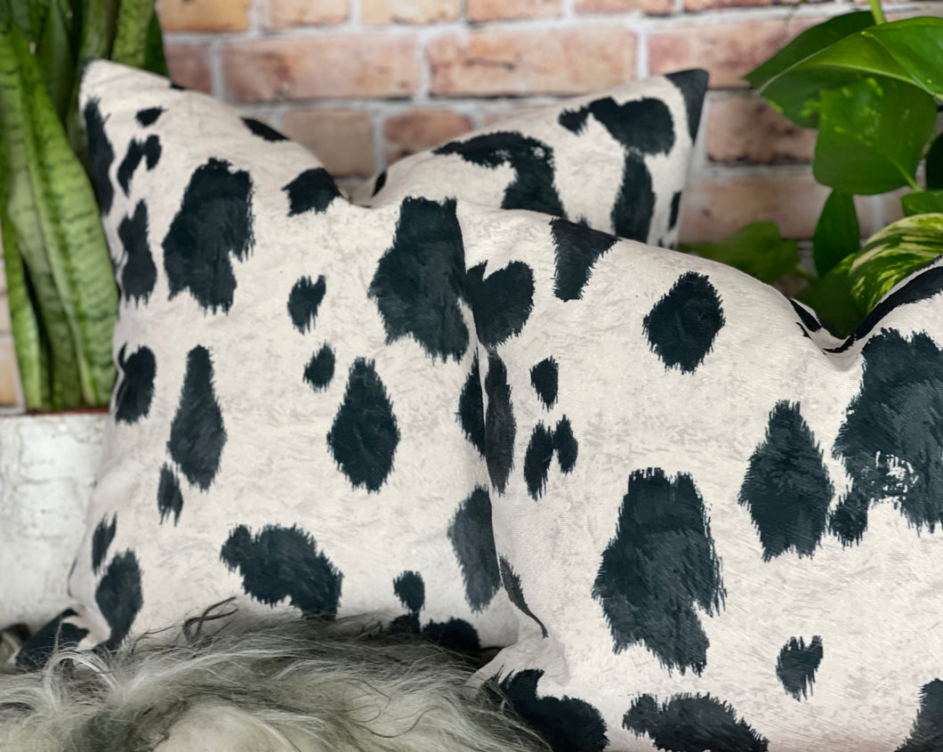 Appaloosa Pony Velvet Cushion Black