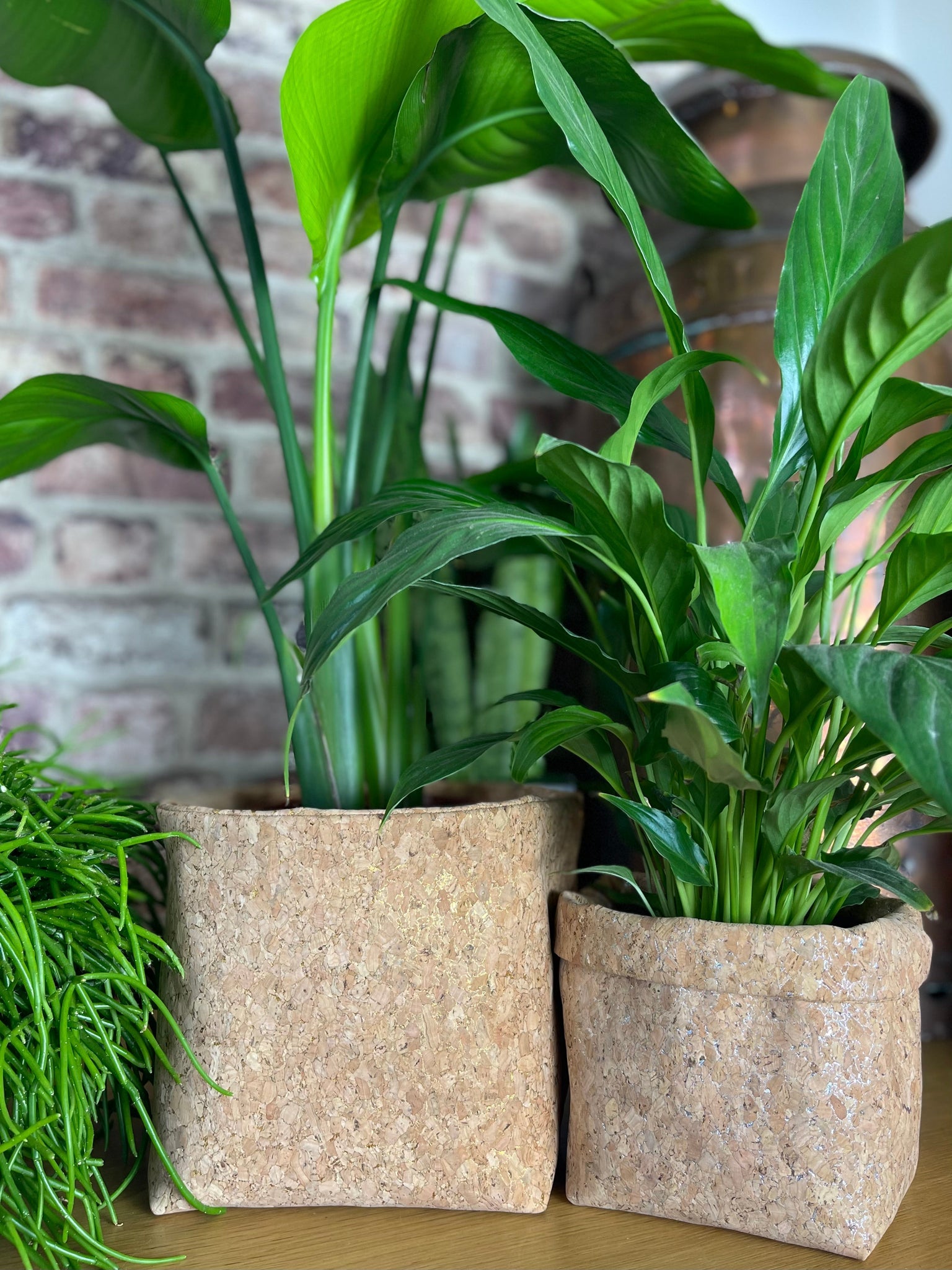 funky plant pots uk Funky Multi Colour Cork Pot – Lulu Interiors
