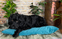 Load image into Gallery viewer, Velvet Dog Bed Grey
