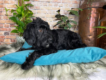 Load image into Gallery viewer, Velvet Dog Bed Turquoise
