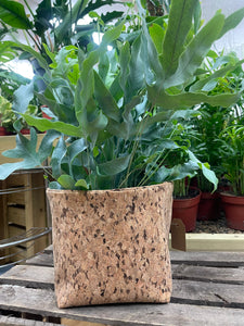 Gold Flaked Cork Pot