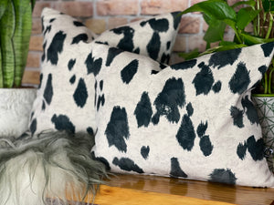 Appaloosa Pony Velvet Cushion Black