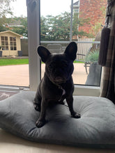 Load image into Gallery viewer, Velvet Dog Bed Marine Blue
