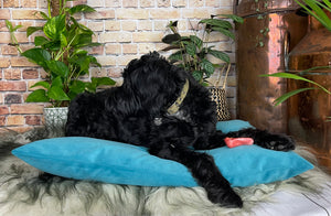 Velvet Dog Bed Grey