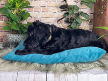 Load image into Gallery viewer, Velvet Dog Bed Marine Blue
