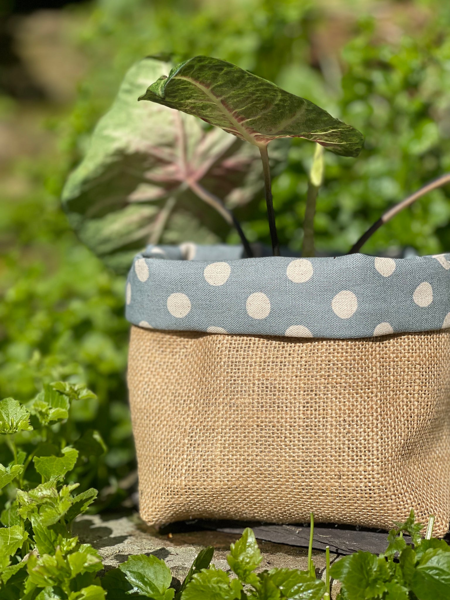 hessian pot plant covers Hessian Fabric Plant Pot – Lulu Interiors