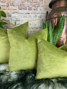 Apple Green Velvet Cushion