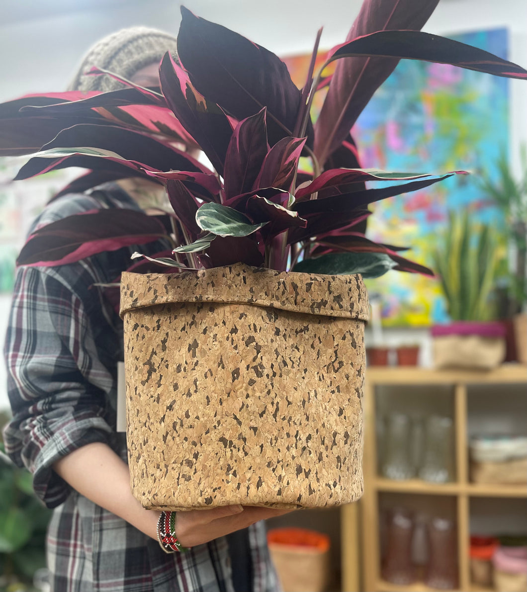 Large Round Black Speckled Cork Pot